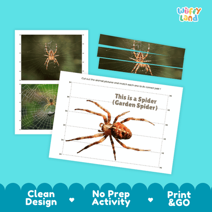 Garden Spider Cut and Match Activity Printables Worksheets