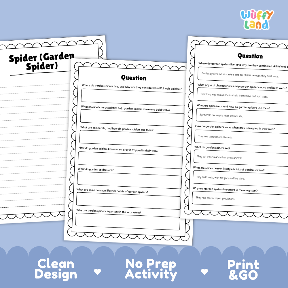 Three printable worksheet pages for a spider garden spider science activity, displayed on a light blue background with the brand name 'Wiffly Land' in the top right corner.