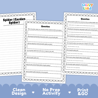 Three printable worksheet pages for a spider garden spider science activity, displayed on a light blue background with the brand name 'Wiffly Land' in the top right corner.