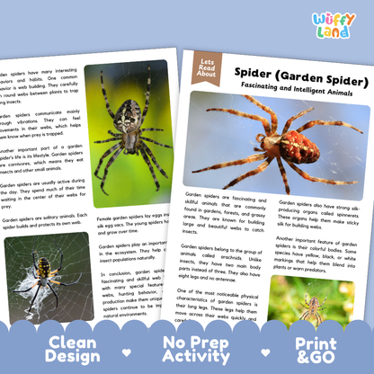 A children's educational activity sheet titled 'Spider (Garden Spider) Fascinating and Intelligent Animals' from the brand 'Wuffly Land'. The sheet features a large illustration of a garden spider on the right, a small inset photo of a real spider on the left, and three small photos of different spider species at the bottom.