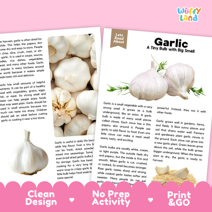 Teacher answer key page showing complete question solutions for garlic reading comprehension practice