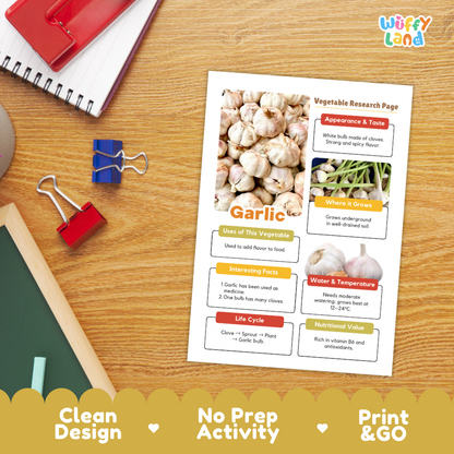Garlic Vegetable Research Project Worksheets and Fact Sheet