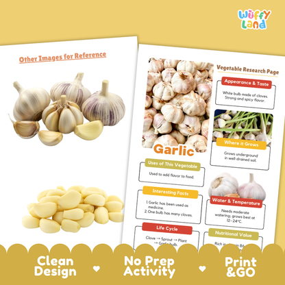 Garlic Vegetable Research Project Worksheets and Fact Sheet