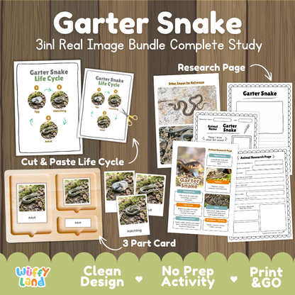 Garter snake 3-in-1 real image bundle complete study cover showing cut and paste life cycle, 3 part cards, and research pages