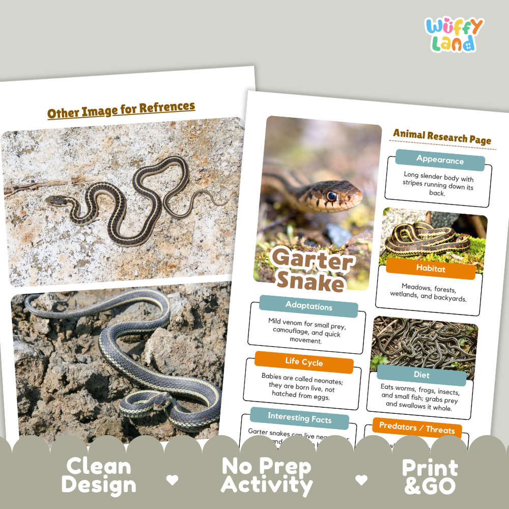 Garter Snake Animal Research Project Printable Informational Writing Worksheets