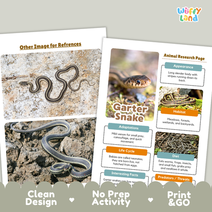 Garter Snake Animal Research Project Printable Informational Writing Worksheets