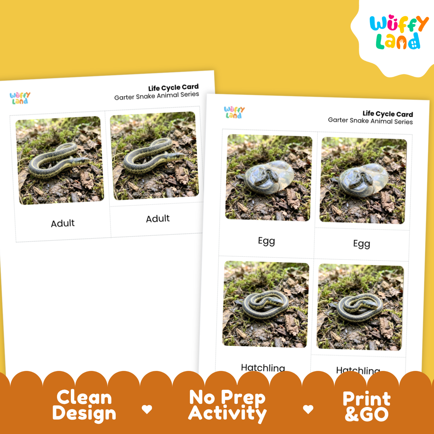 Garter Snake Life Cycle Flashcards 3 Part Cards Montessori Science Activity