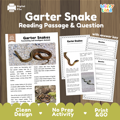 Garter Snake reading passage and worksheet activity bundle by Wiffly Land, featuring a digital file cover and sample pages with text, images, and answer keys on a wood background.