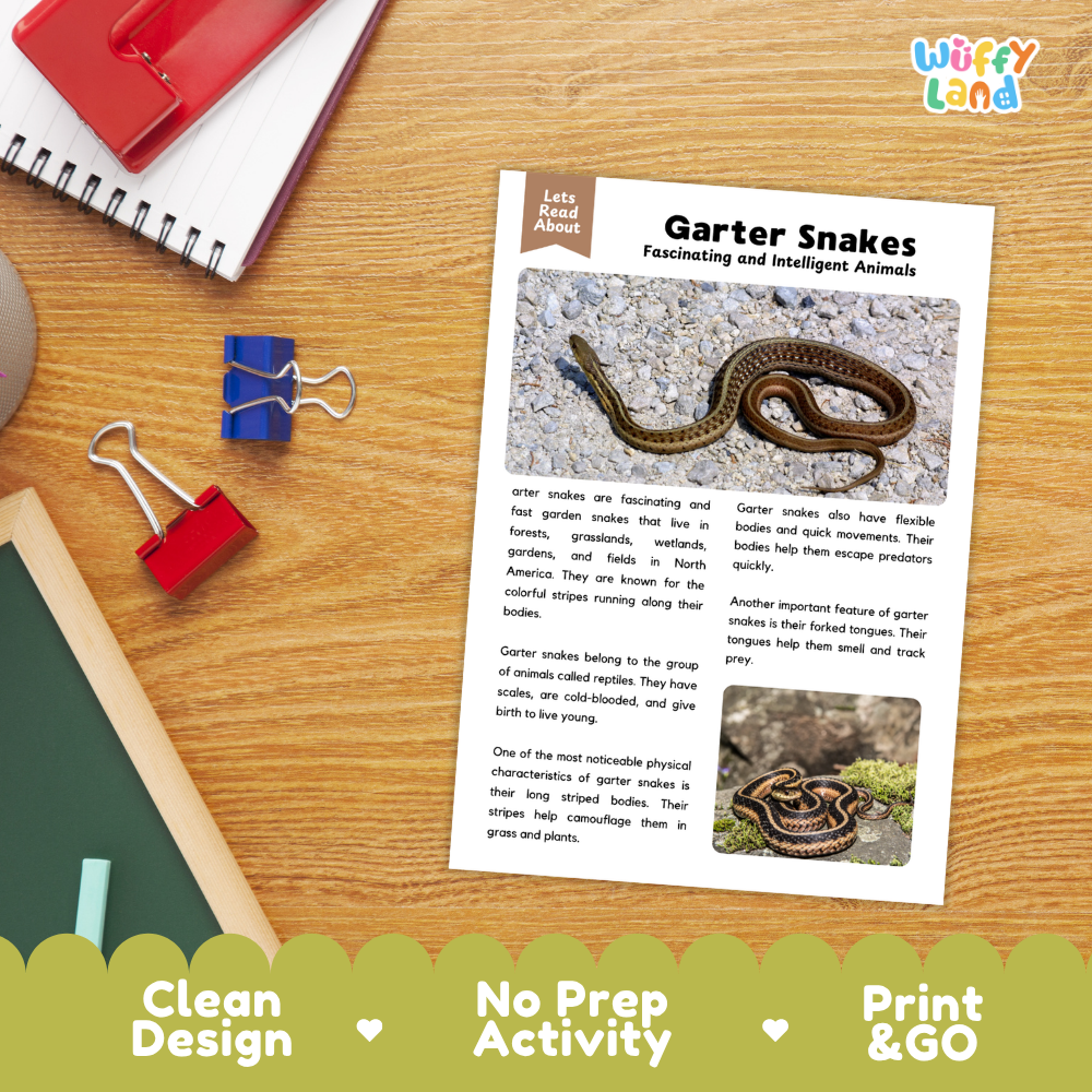 Garter Snake Reading Passage and Comprehension Questions with Answer Key Worksheets