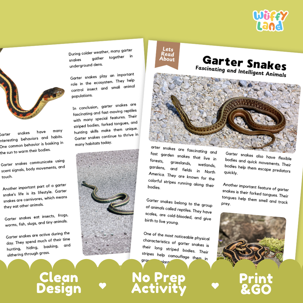 Two printed educational activity sheets about garter snakes laid on a white background with a green banner at the bottom. The sheets show text and a small inset photo of a snake, with the title 'Garter Snakes' and the brand name 'Wiffly Land' visible.