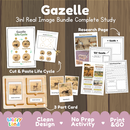 Gazelle 3-in-1 real image bundle complete study cover showing cut and paste life cycle, 3 part cards, and research pages