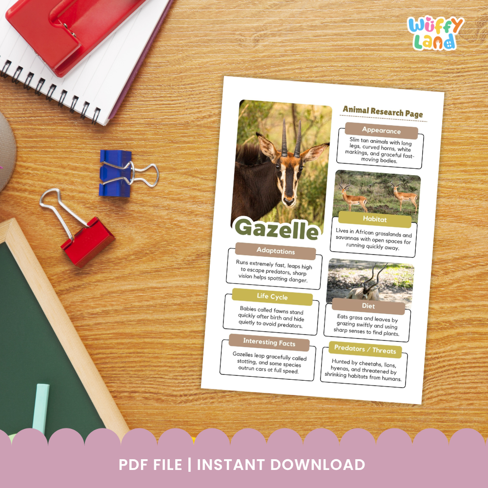 Gazelle Animal Research Page Printable Worksheets for Early Elementary