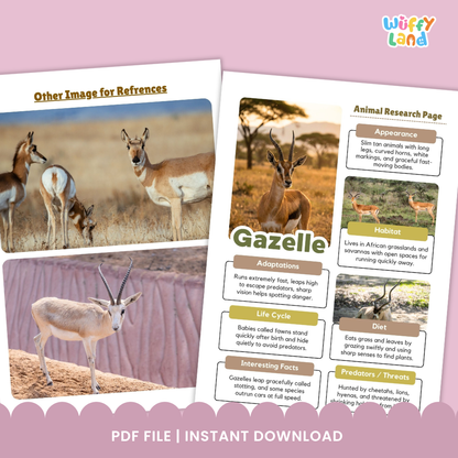 Gazelle Animal Research Page Printable Worksheets for Early Elementary