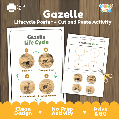 Gazelle Life Cycle Poster and Cut and Paste Activity Worksheets