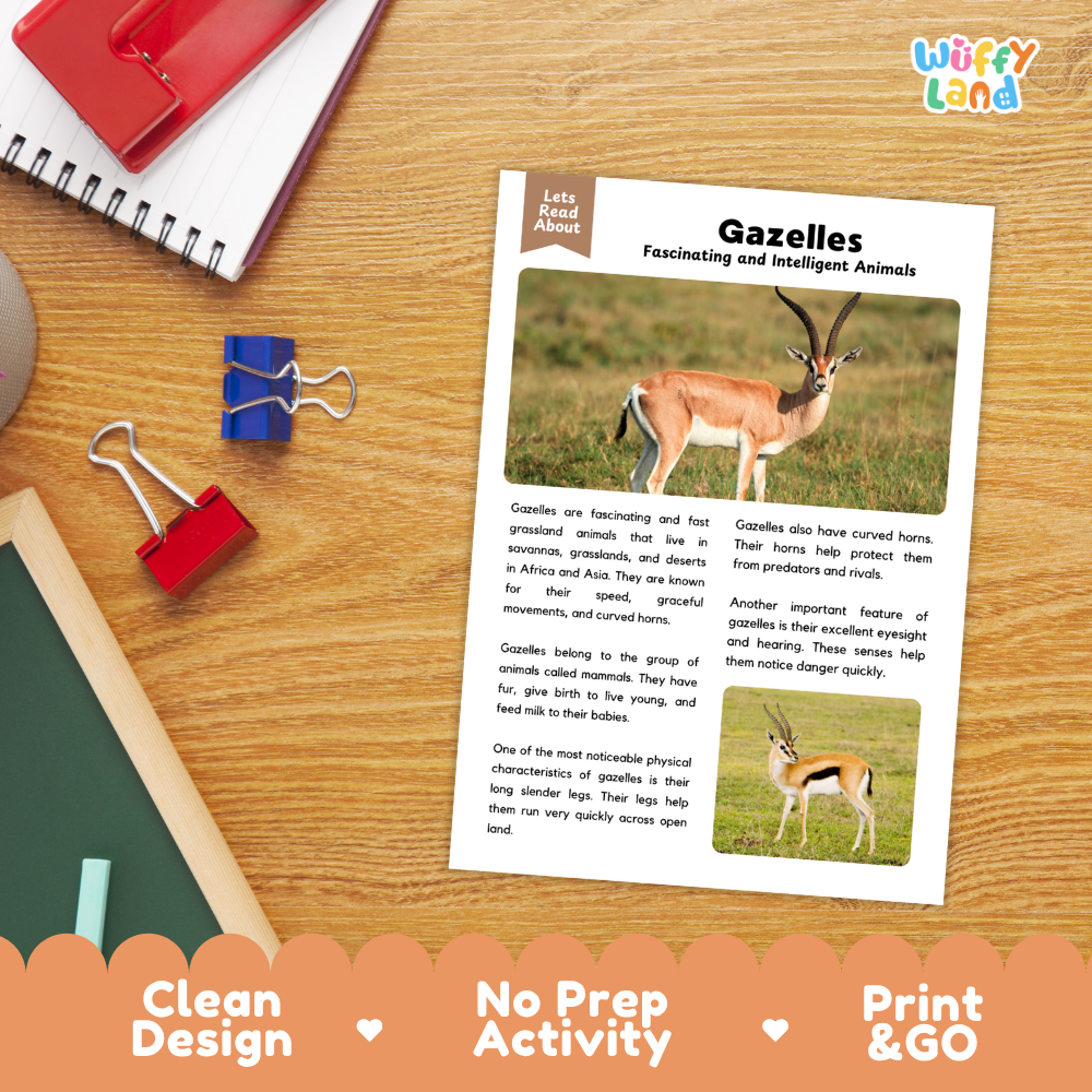 An educational activity sheet titled 'Gazelles: Fascinating and Intelligent Animals' from Wiffy Land, displayed on a wooden desk with binder clips and notebooks. The sheet features text and illustrations of two gazelles.