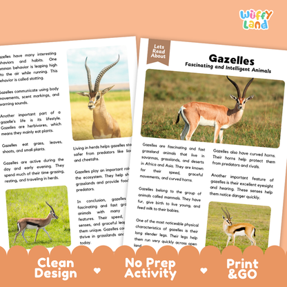 An educational activity sheet titled 'Gazelles Fascinating and Intelligent Animals' by Wiffly Land, featuring text, illustrations of gazelles, and three green activity cards at the bottom.