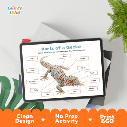 Hands-on gecko anatomy cut and paste worksheet with printable word tags, callout pointer lines, and scissors graphic