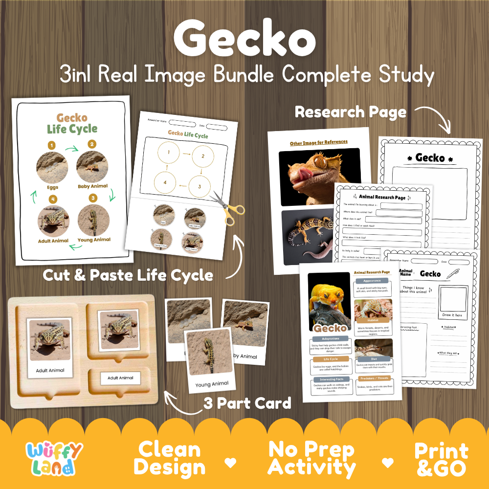 Gecko 3-in-1 real image bundle complete study cover showing cut and paste life cycle, 3 part cards, and research pages