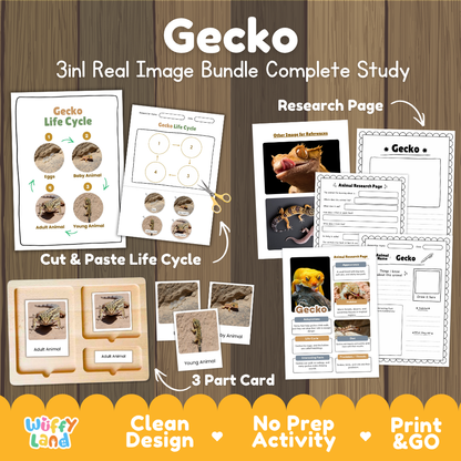 Gecko 3-in-1 real image bundle complete study cover showing cut and paste life cycle, 3 part cards, and research pages