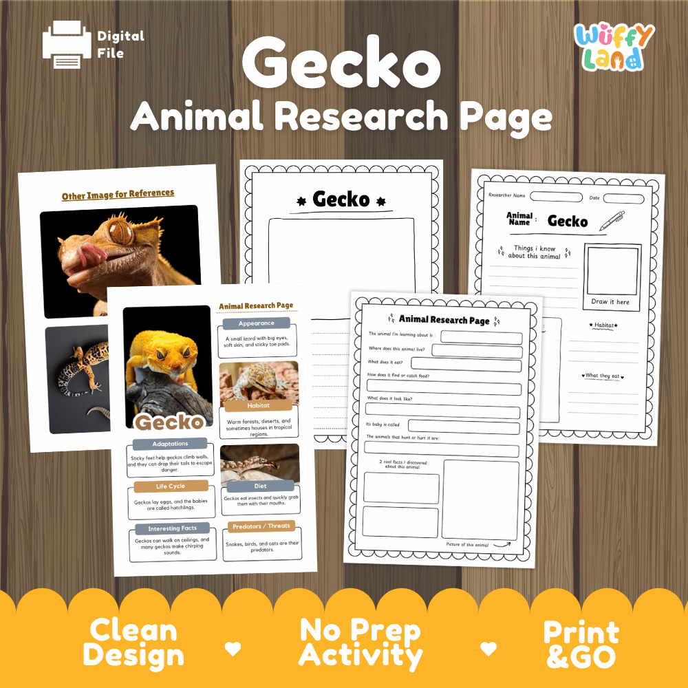 Gecko Animal Research Page Worksheets