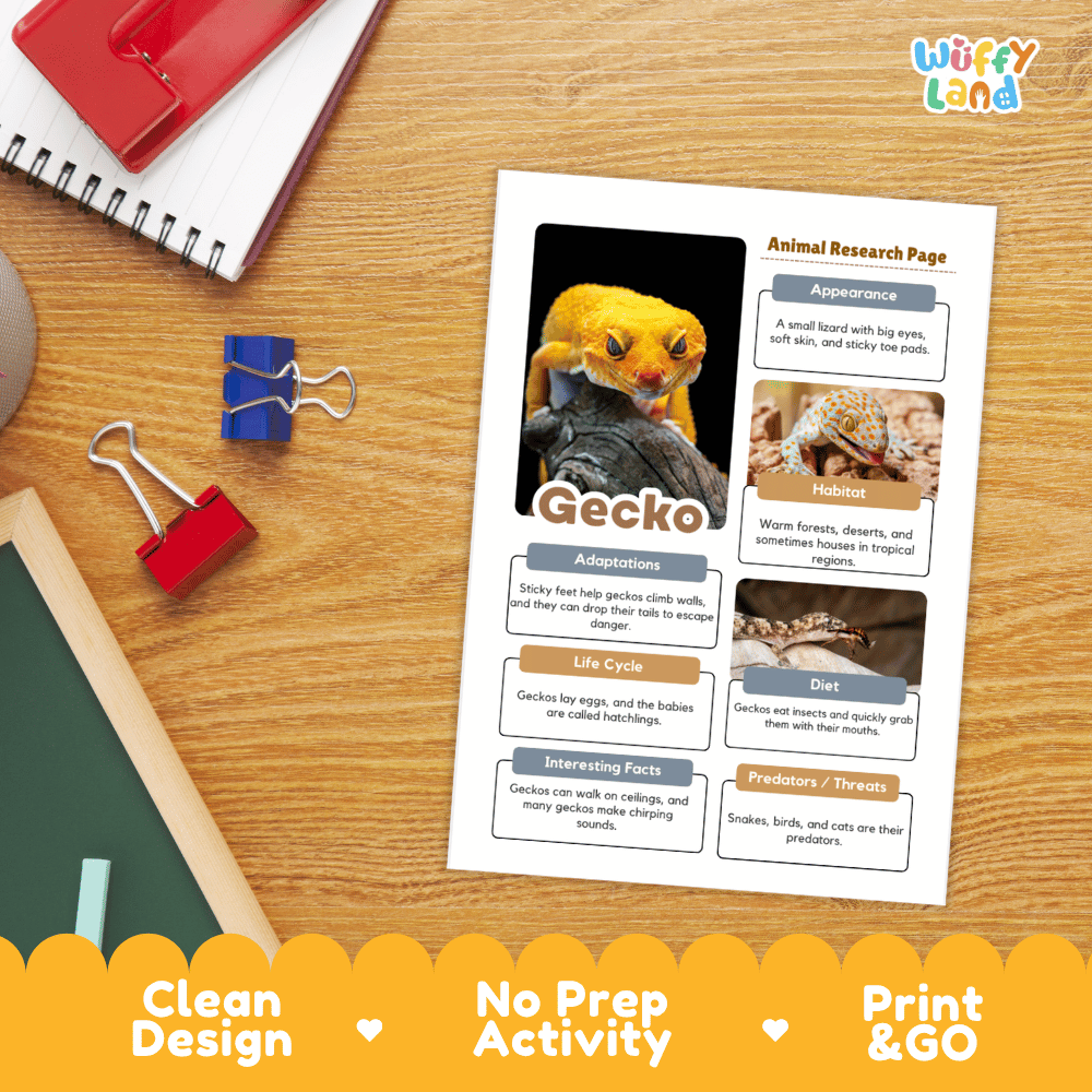 Gecko Animal Research Page Worksheets