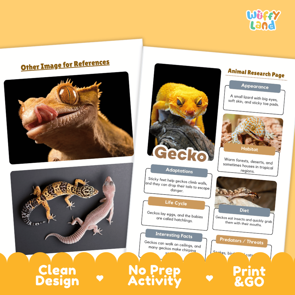 Gecko Animal Research Page Worksheets