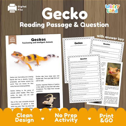 Gecko Reading Passage and Comprehension Questions Worksheets