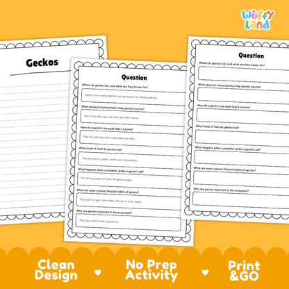 Gecko Reading Passage and Comprehension Questions Worksheets