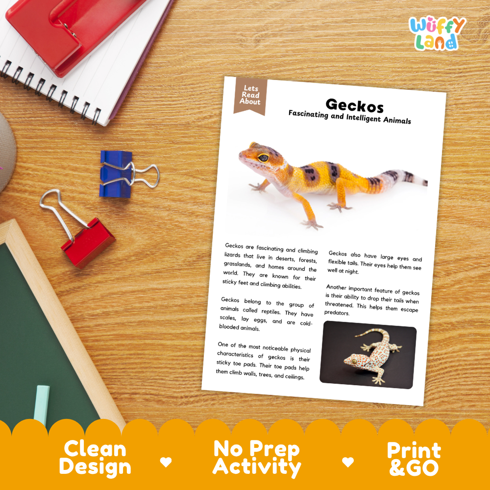 Gecko Reading Passage and Comprehension Questions Worksheets