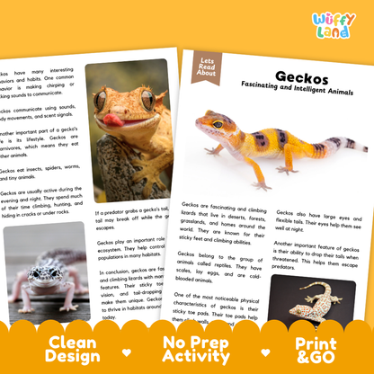 An educational activity sheet about geckos, featuring a color-coded layout with a large gecko photo, text sections, and a bottom banner that reads 'Clean Design', 'No Prep Activity', and 'Print & Go'.