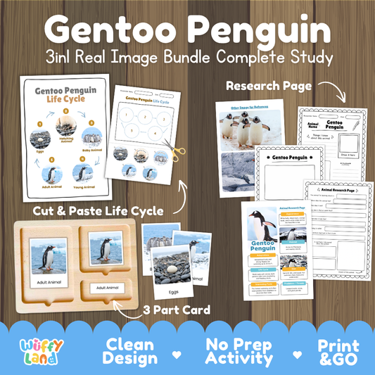 Gentoo Penguin 3-in-1 real image bundle complete study cover showing cut and paste life cycle, 3 part cards, and research pages