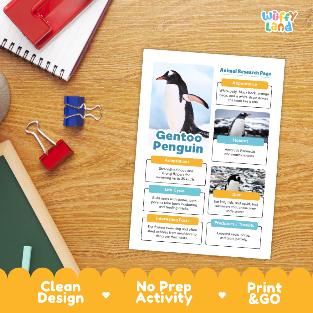 Gentoo Penguin Animal Research Page Worksheets