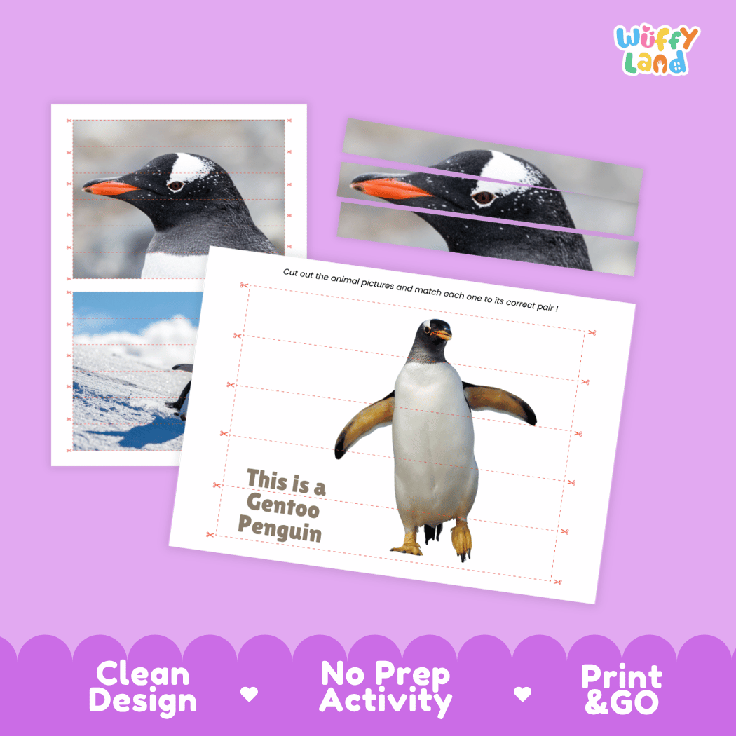 Gentoo Penguin Cut and Match Activity Worksheets