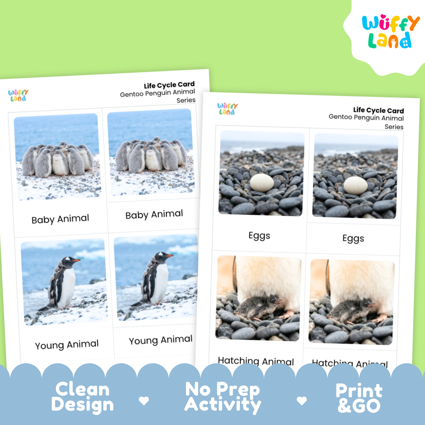 Gentoo Penguin Life Cycle Flashcards | Montessori 3 Part Cards Science Activity