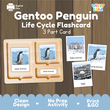 Gentoo Penguin Life Cycle Flashcards | Montessori 3 Part Cards Science Activity