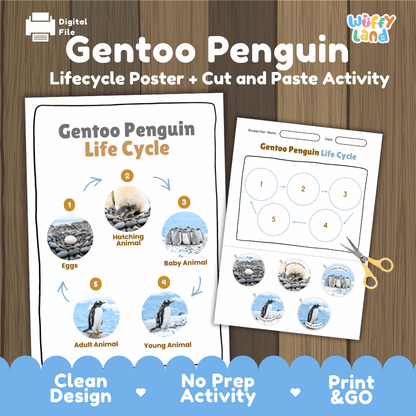Gentoo Penguin Life Cycle Poster and Cut and Paste Worksheet Activity