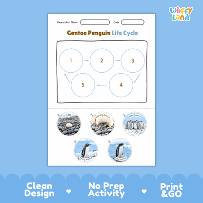 Gentoo Penguin Life Cycle Poster and Cut and Paste Worksheet Activity