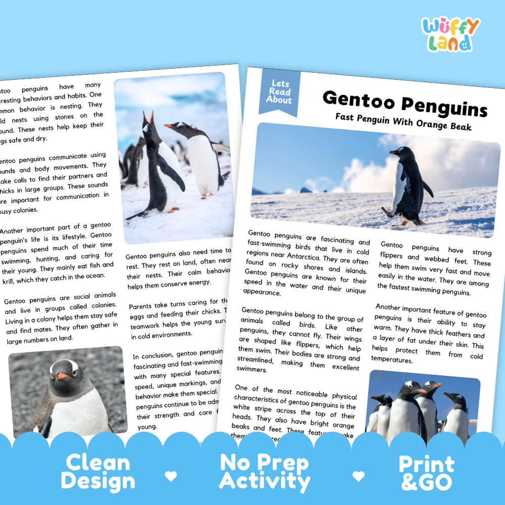 A children's book or activity booklet cover titled 'Gentoo Penguins' with the brand name 'wuffly land' in the top right. The cover shows a black-and-white photo of a penguin, colorful text blocks, and decorative heart and arrow icons.