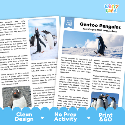A children's book or activity booklet cover titled 'Gentoo Penguins' with the brand name 'wuffly land' in the top right. The cover shows a black-and-white photo of a penguin, colorful text blocks, and decorative heart and arrow icons.