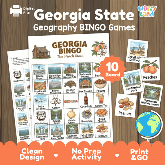 Georgia State Geography Bingo Game Printable Activity