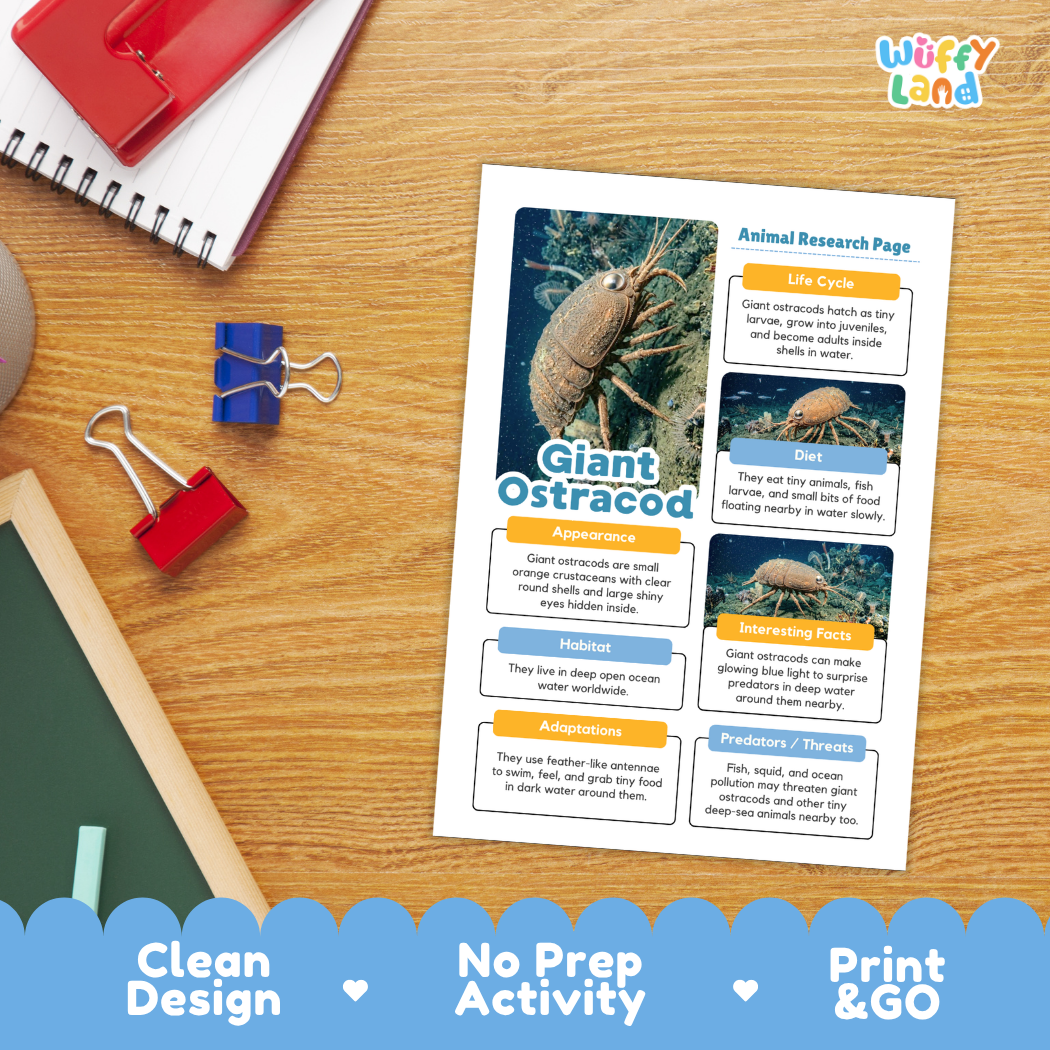 A printed educational poster about a giant ostracod titled 'Animal Research Page' placed on a wooden desk, surrounded by school supplies. The poster features a large photo of a giant ostracod and several text panels with headings like 'Loc Cretaceous,' 'Size,' 'Diet,' 'Habitat,' 'Adaptations,' and 'Predators / Prey.