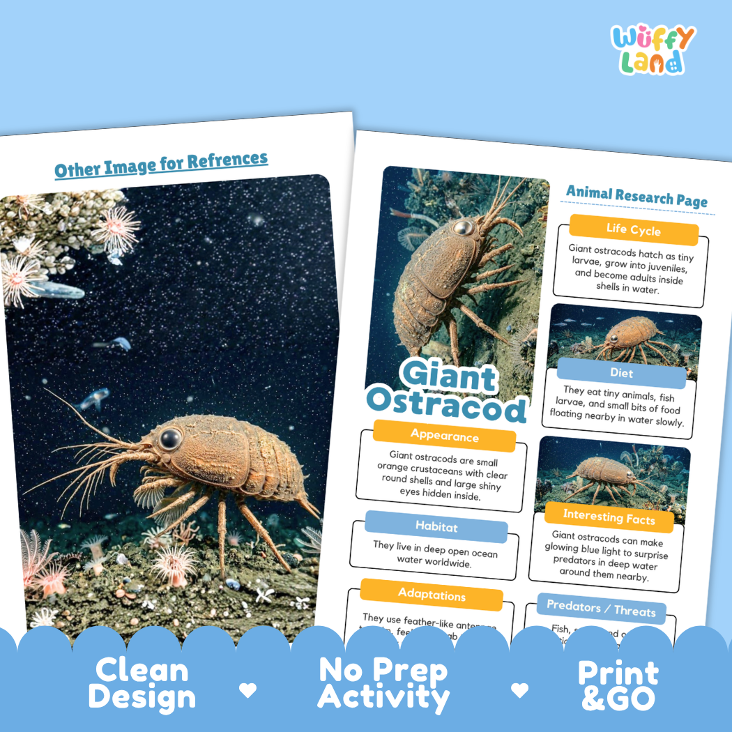 Two educational activity sheets from Wiffly Land about a giant ostracod, featuring an underwater photograph on the left sheet and text panels on the right sheet, set against a light blue background with decorative blue scalloped banners at the bottom.