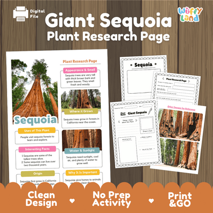 Giant Sequoia Plant Research Page and Worksheets Print and Go Activity