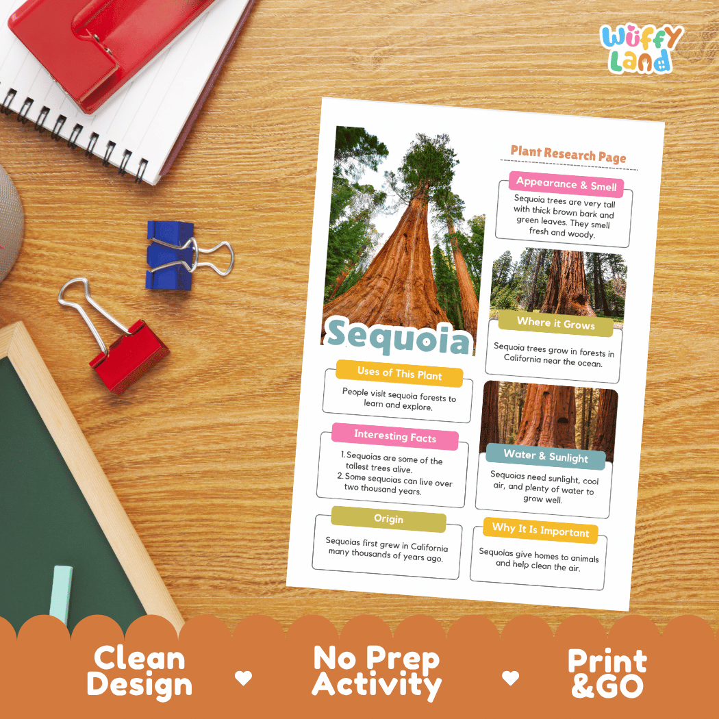 Giant Sequoia Plant Research Page and Worksheets Print and Go Activity