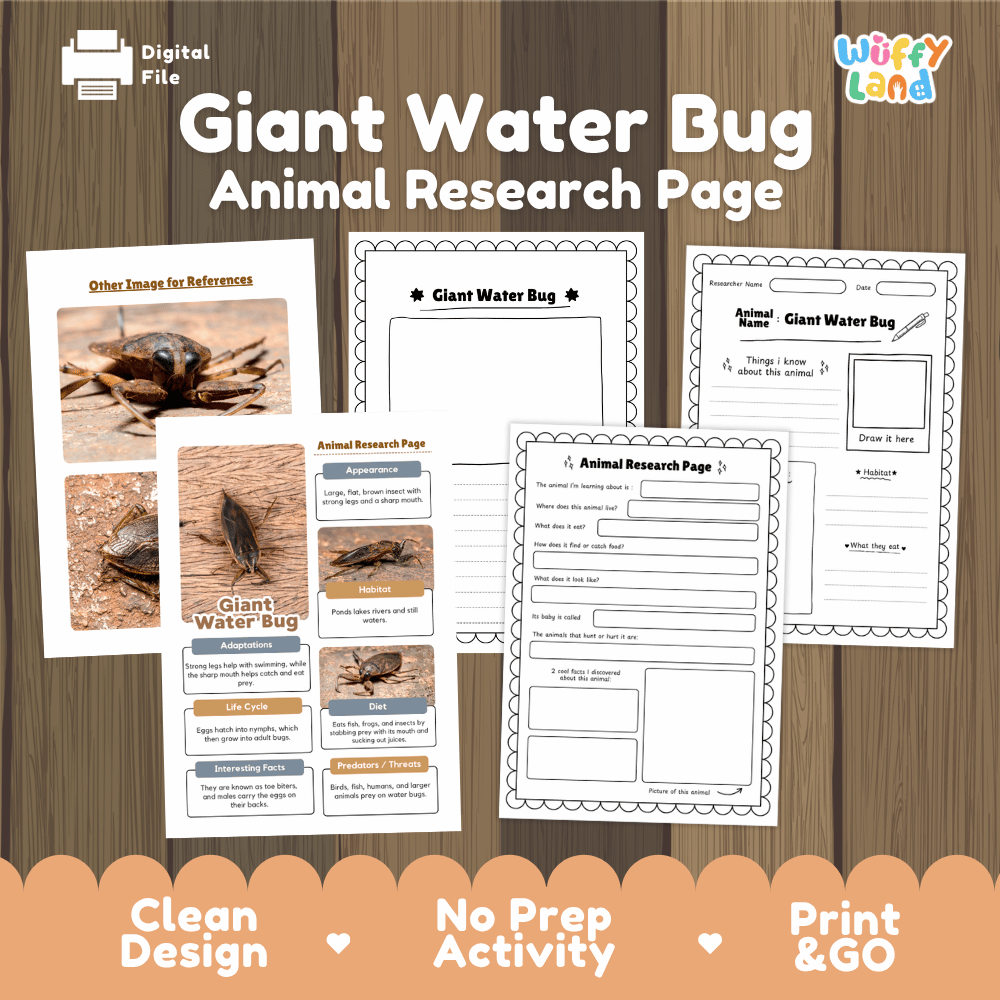 Giant Water Bug Animal Research Page Worksheets