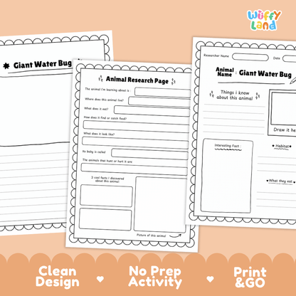 Giant Water Bug Animal Research Page Worksheets