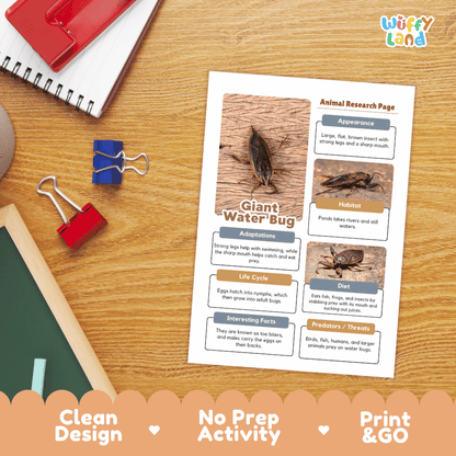 Giant Water Bug Animal Research Page Worksheets