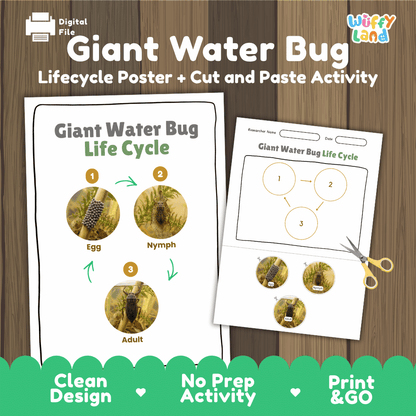 Giant Water Bug Life Cycle Poster and Cut and Paste Activity Worksheet