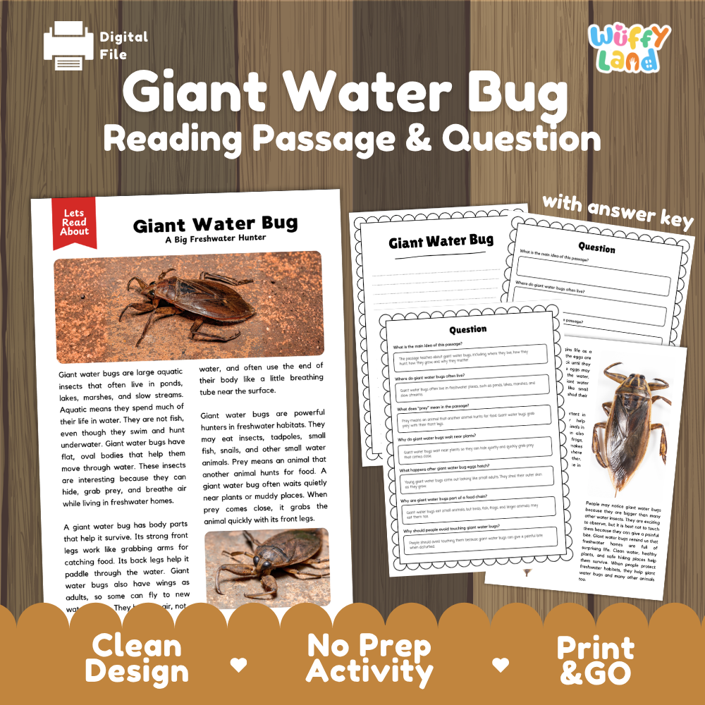 Giant Water Bug Reading Passage and Questions Worksheets with Answer Key