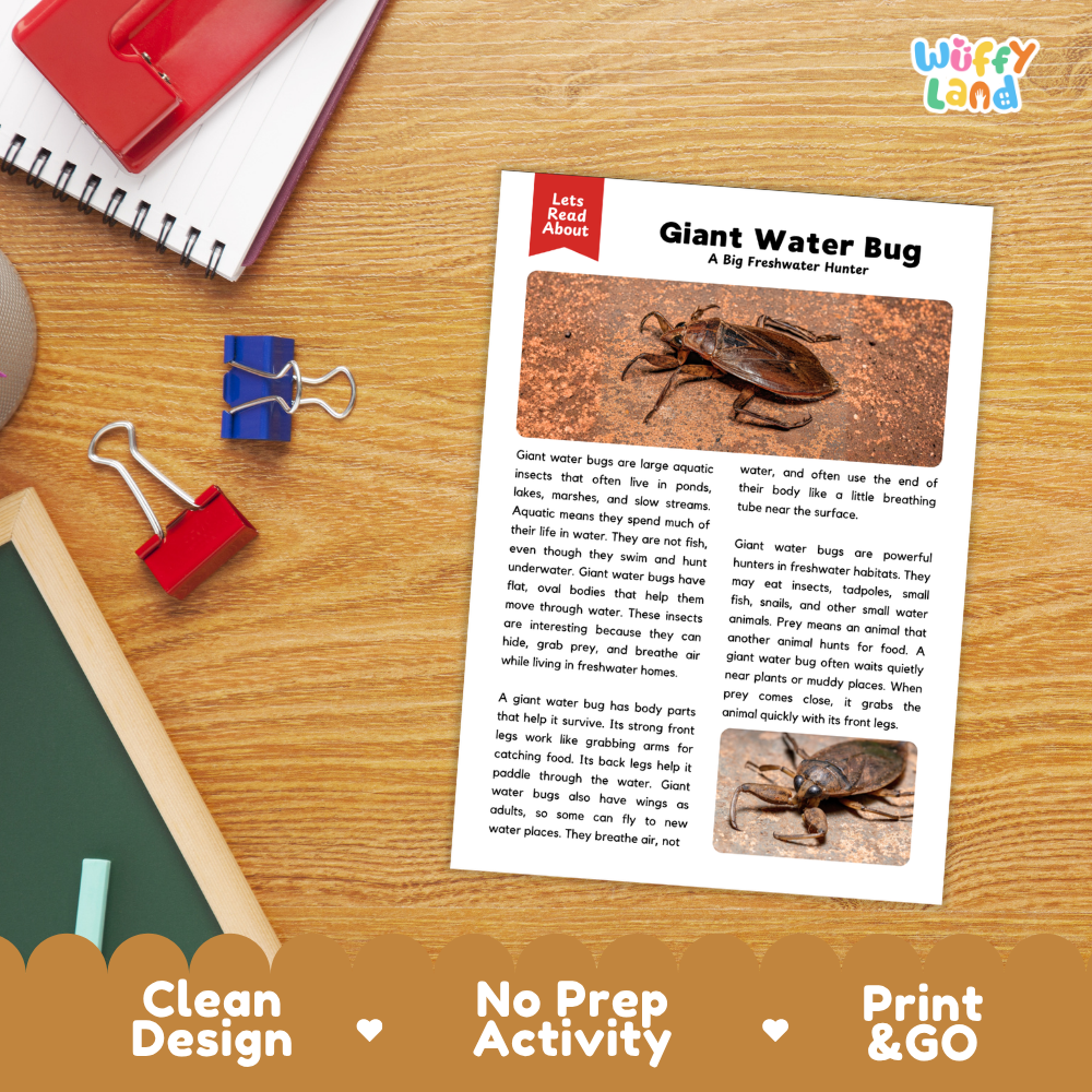 Giant Water Bug Reading Passage and Questions Worksheets with Answer Key